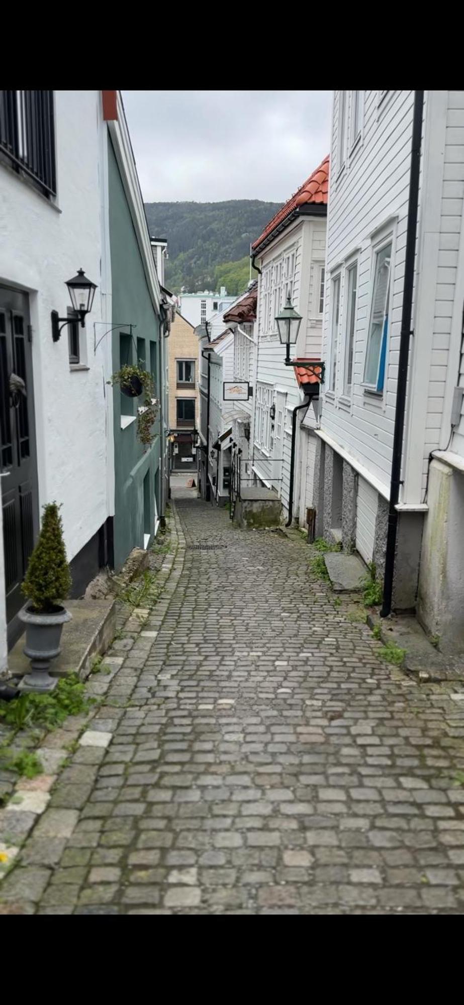 The Dreamhouse - Inner City Center - Old Town Bergen Exteriör bild
